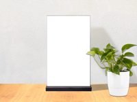 Dual sided clear Plexiglass stand  with a solid wood block as the base.